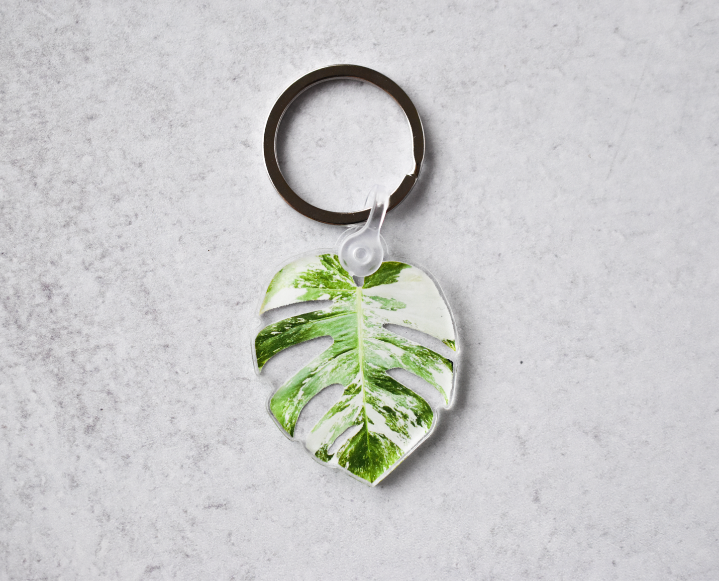 Acrylic Leaf Keychains: Clarinervium