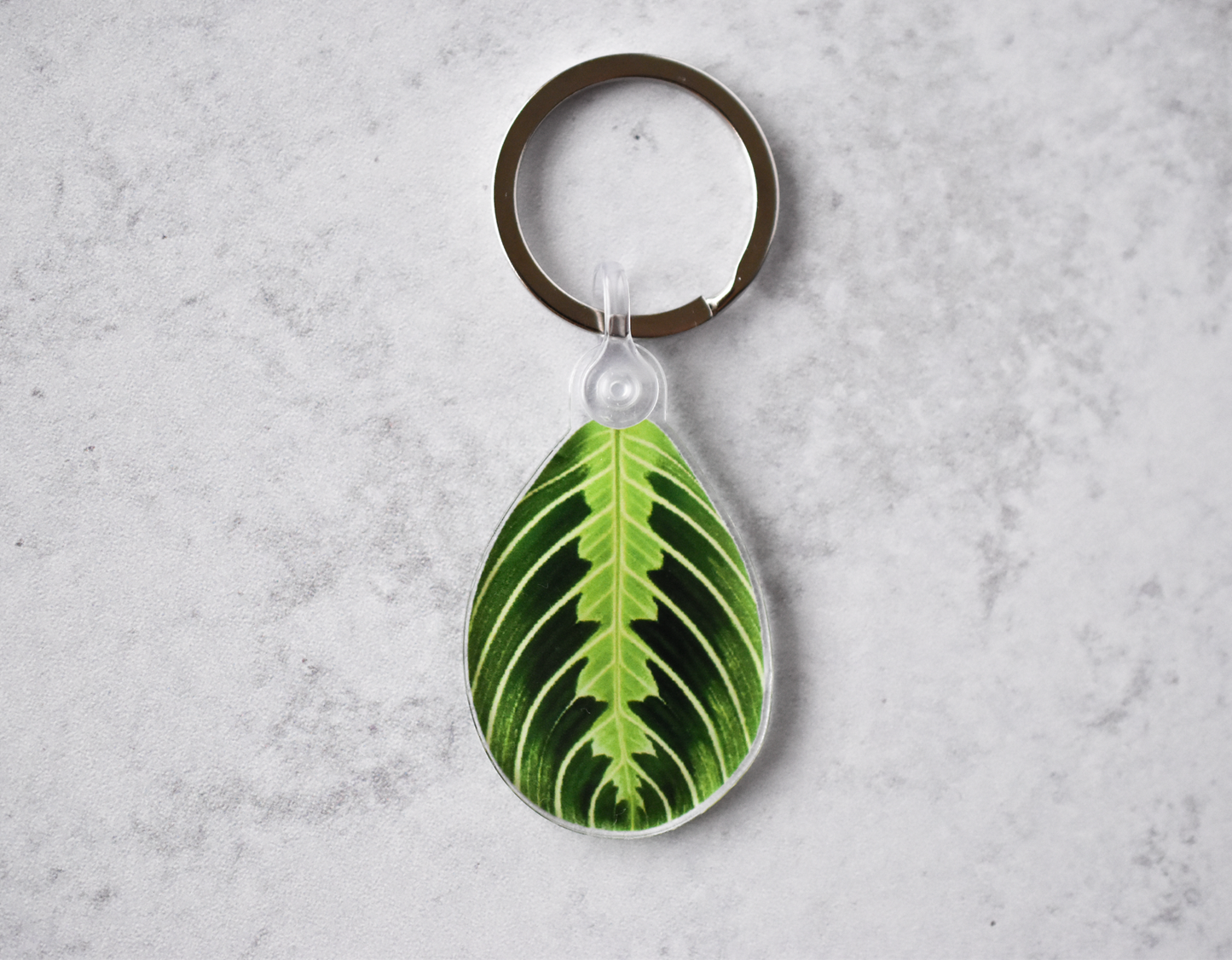 Acrylic Leaf Keychains: Clarinervium