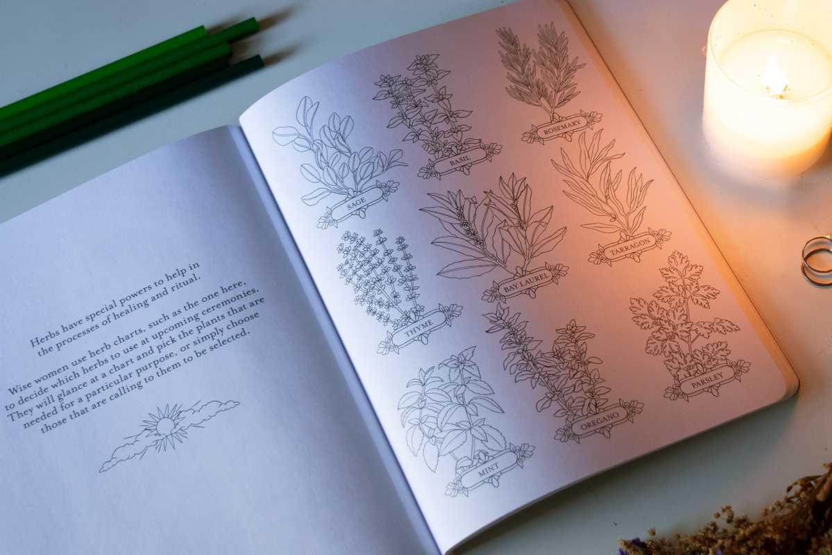 Believe in Magic by: Paperback; 96 pages / English