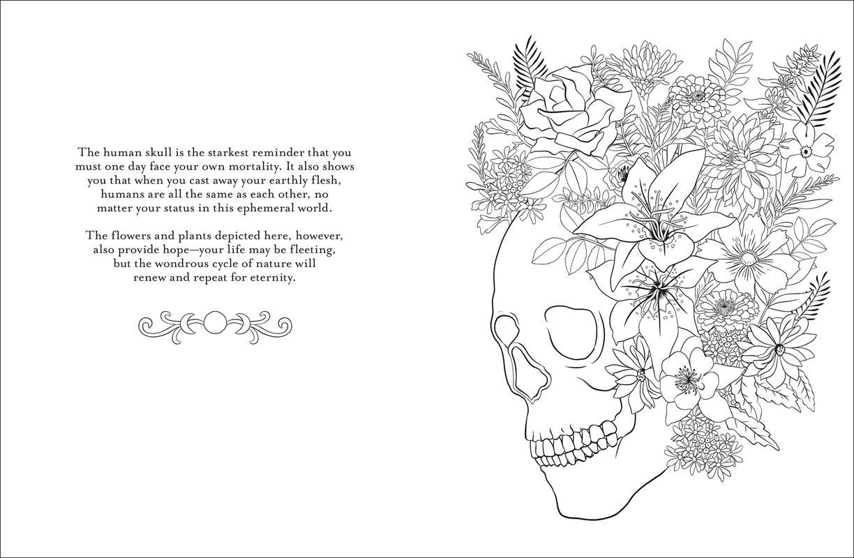 Believe in Magic by: Paperback; 96 pages / English