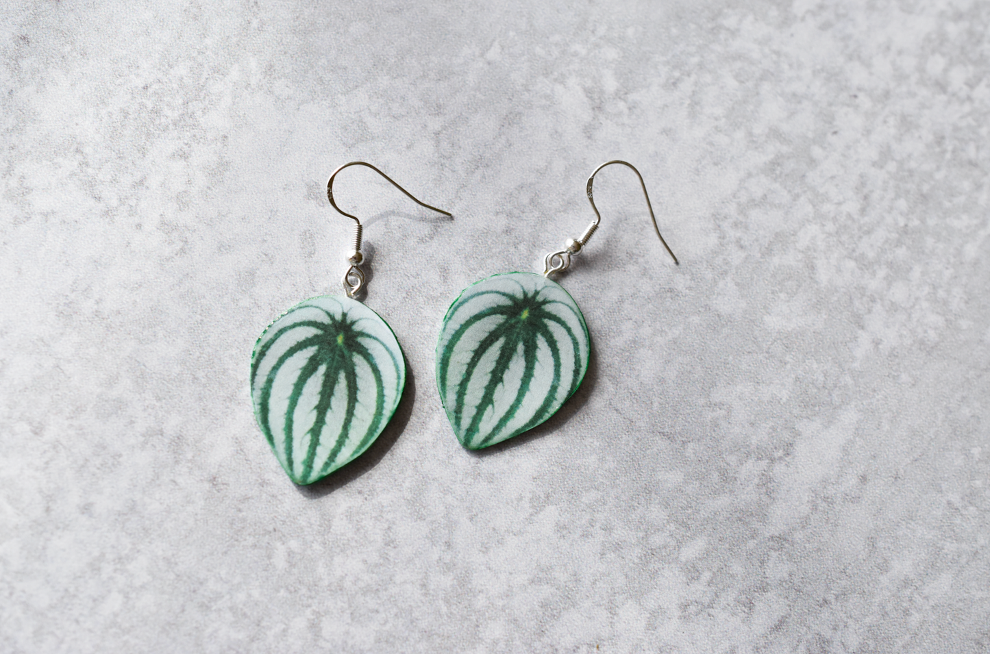 Watermelon Peperomia Plant Earrings