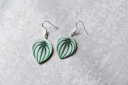 Watermelon Peperomia Plant Earrings