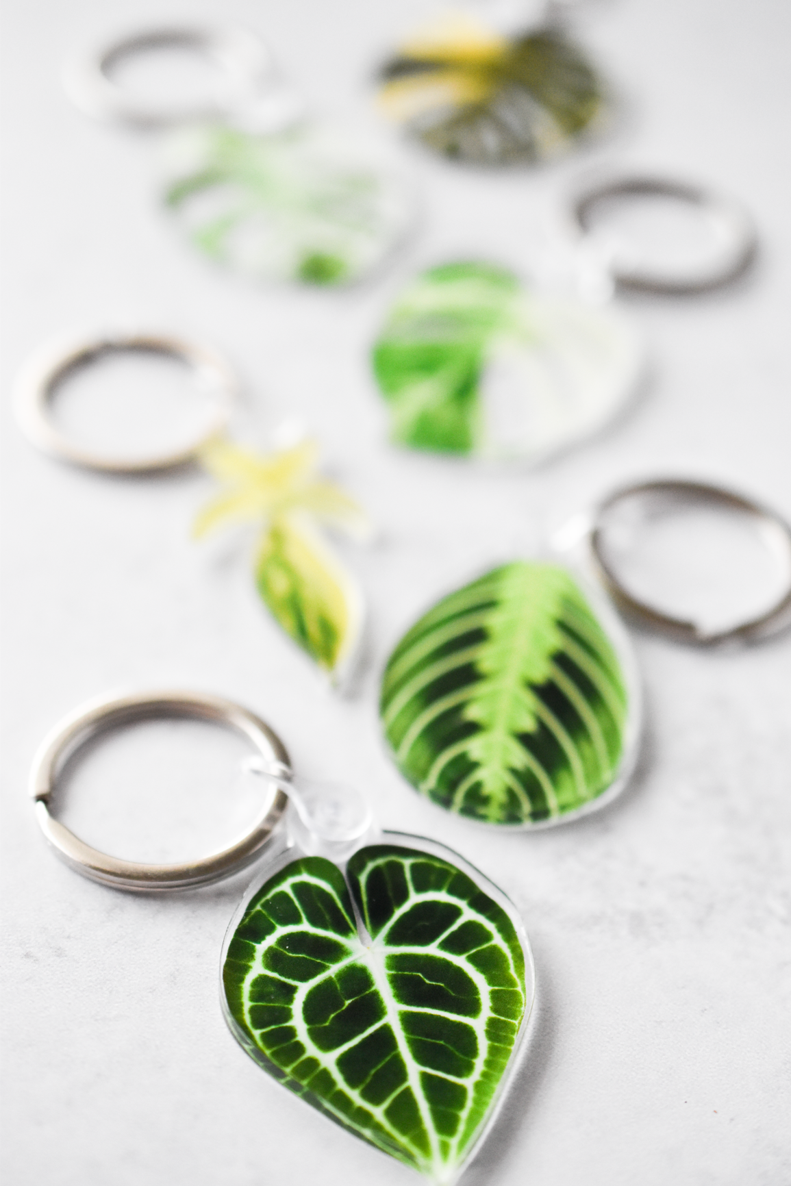 Acrylic Leaf Keychains: Clarinervium