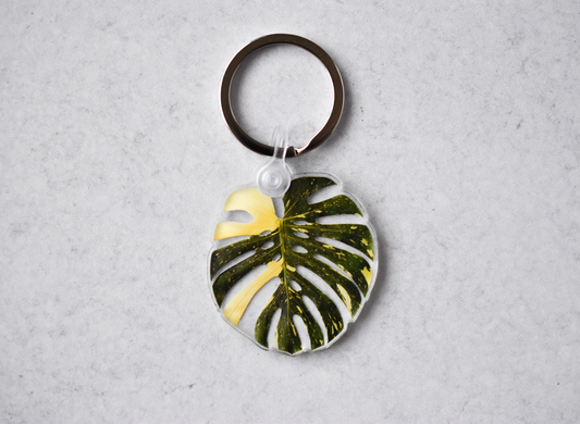 Acrylic Leaf Keychains: Thai Con