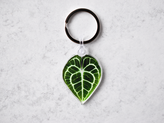 Acrylic Leaf Keychains: Clarinervium