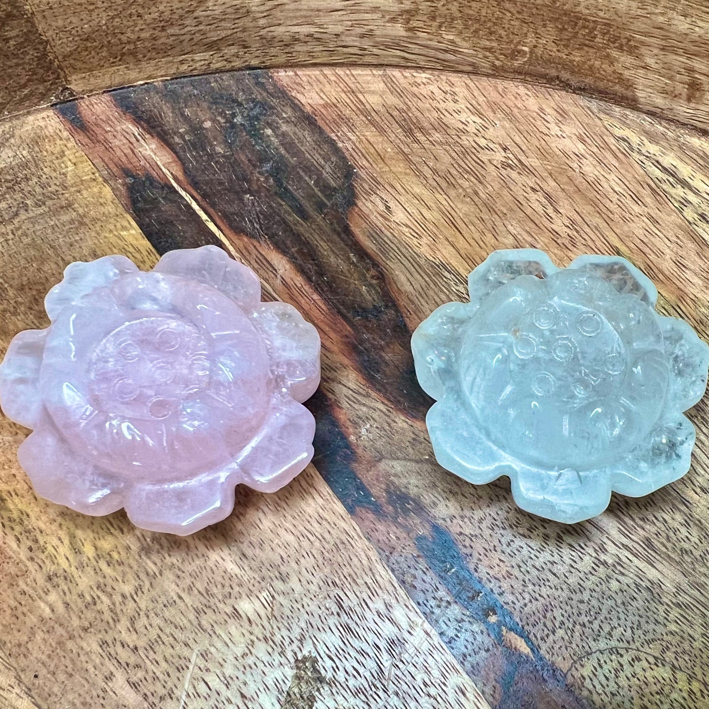 Lotus