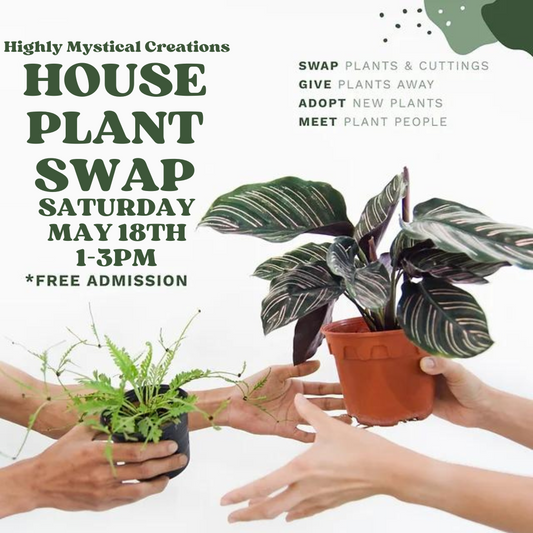 House Plant Swap