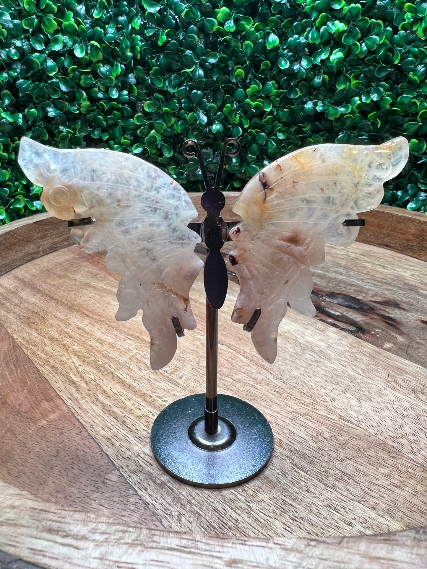 Butterfly Wings With Stand