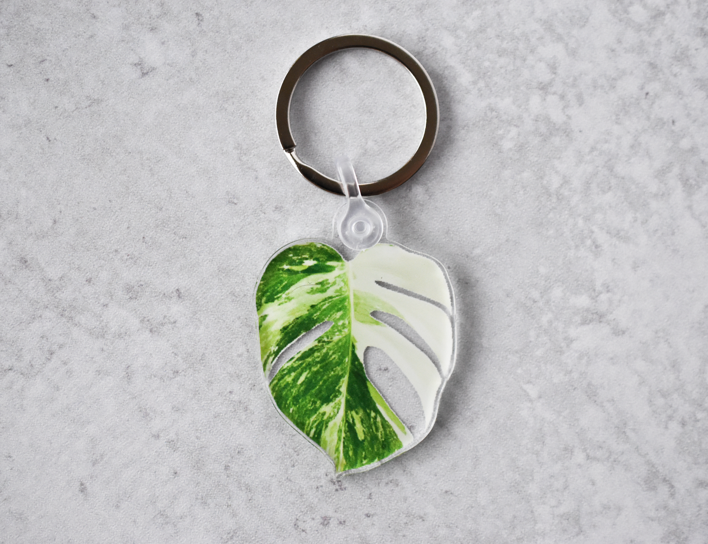 Acrylic Leaf Keychains: Clarinervium