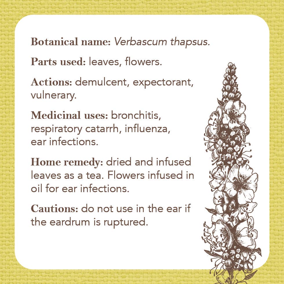 Apothecary Flashcards: A Pocket Reference for Herbs