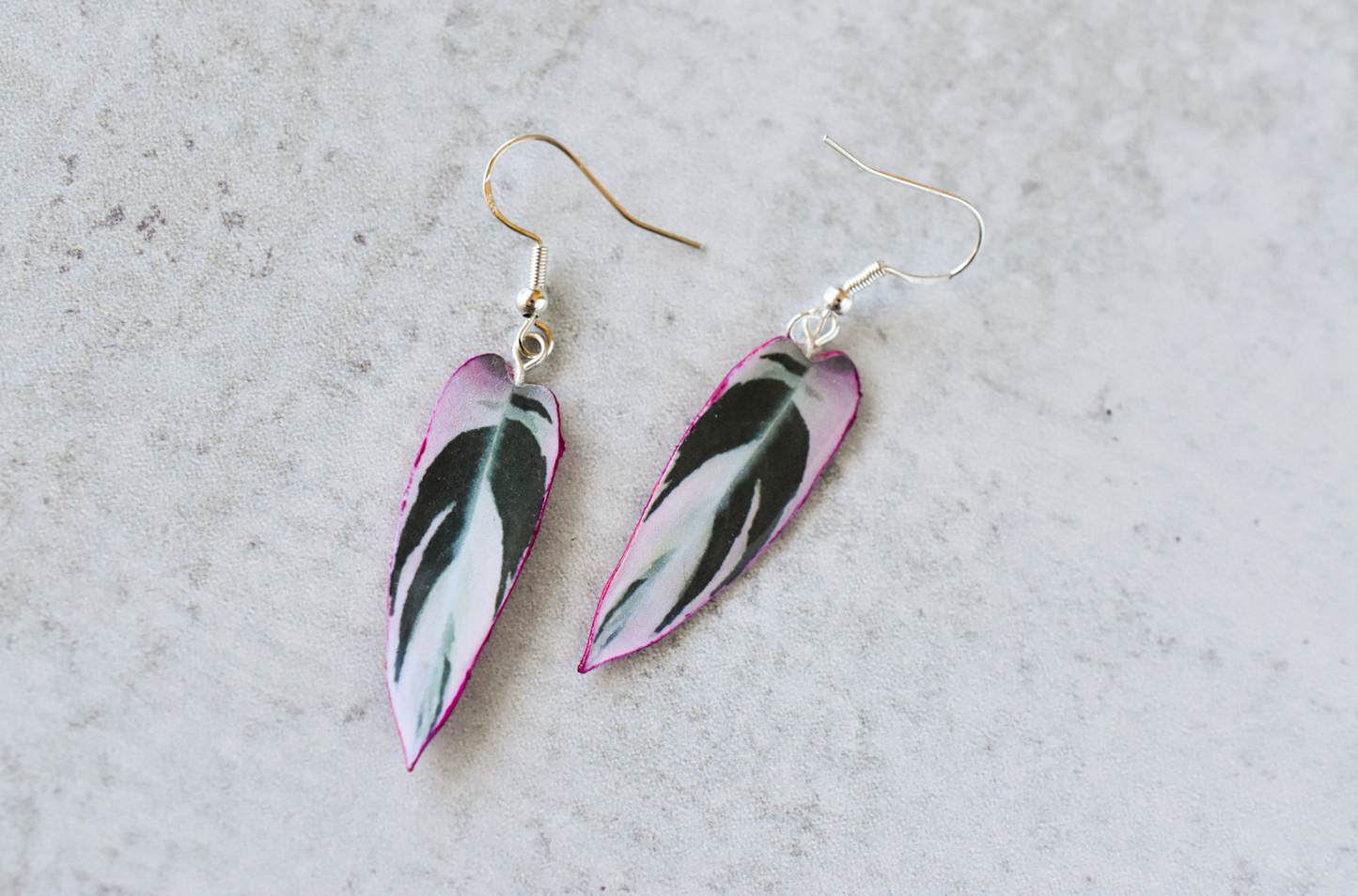 Stromanthe Triostar Plant Earrings