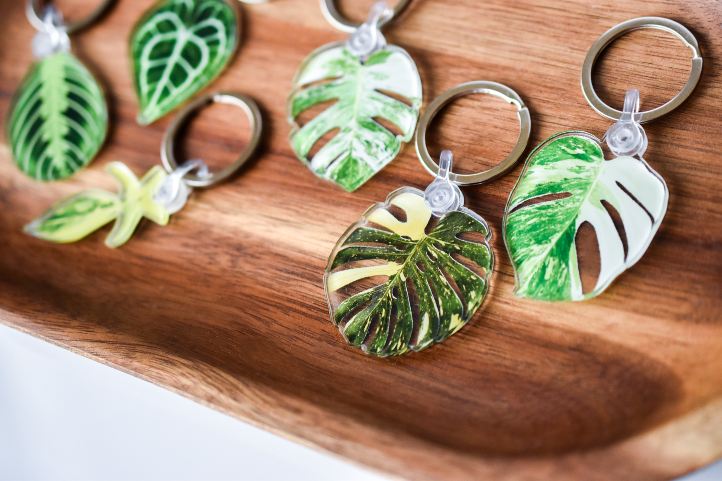 Acrylic Leaf Keychains: Clarinervium