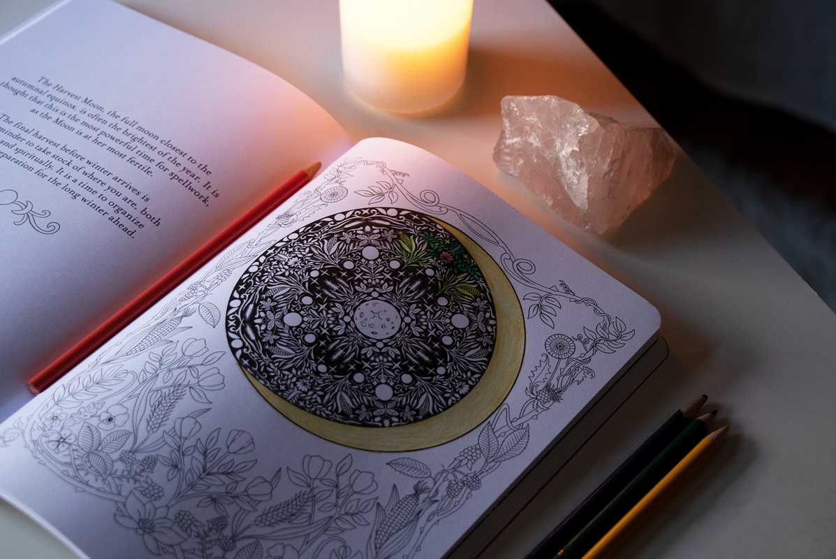 Believe in Magic by: Paperback; 96 pages / English