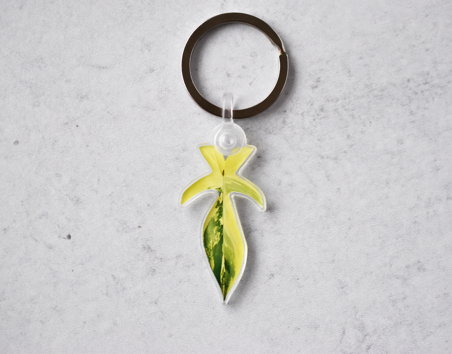Acrylic Leaf Keychains: Clarinervium