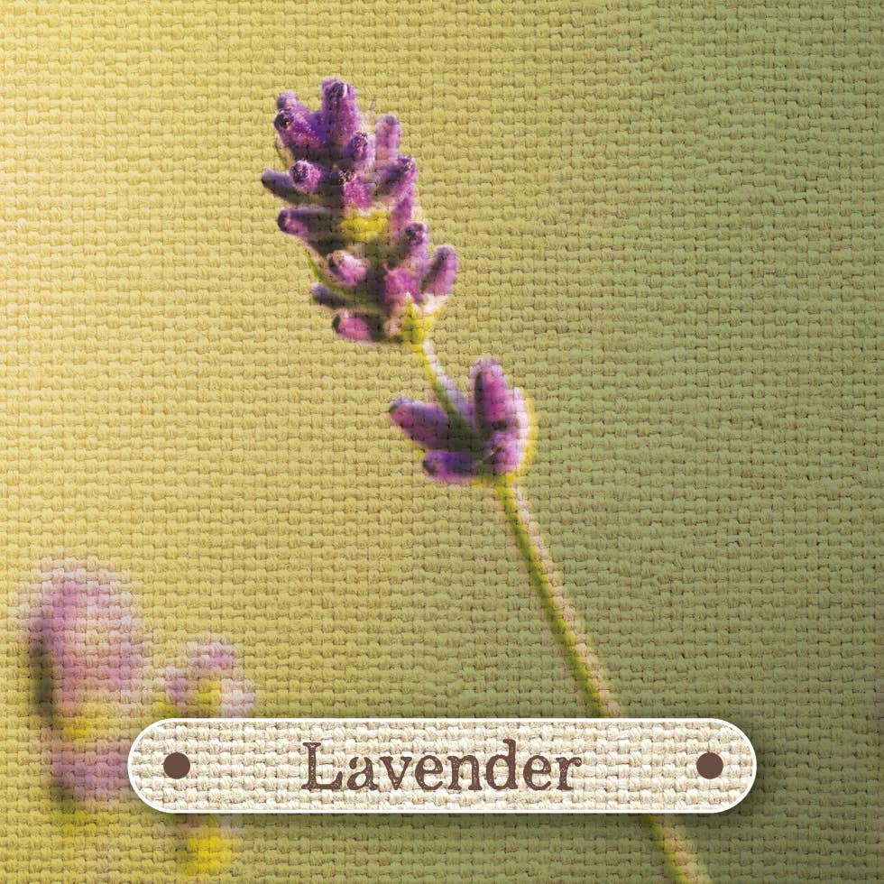 Apothecary Flashcards: A Pocket Reference for Herbs