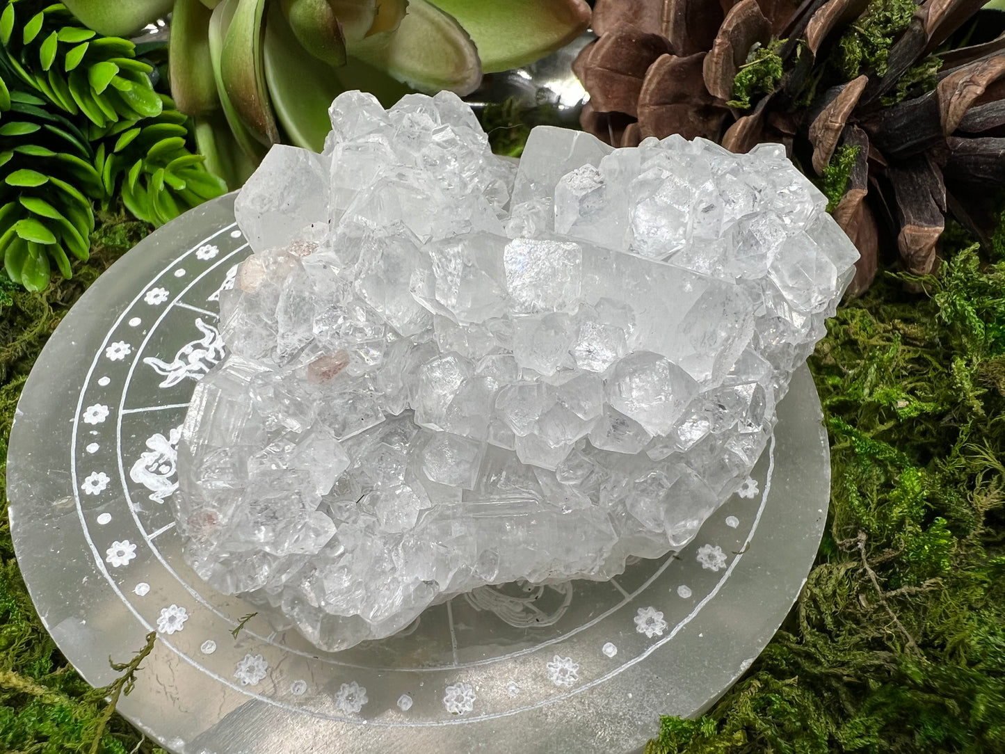 Apophyllite Cluster