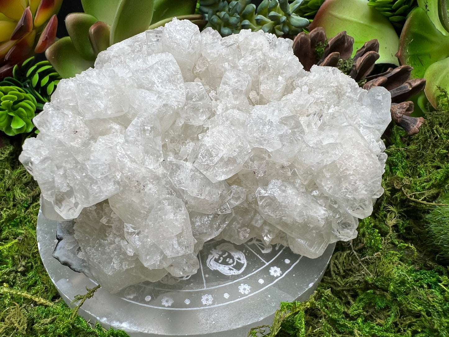 Apophyllite Cluster