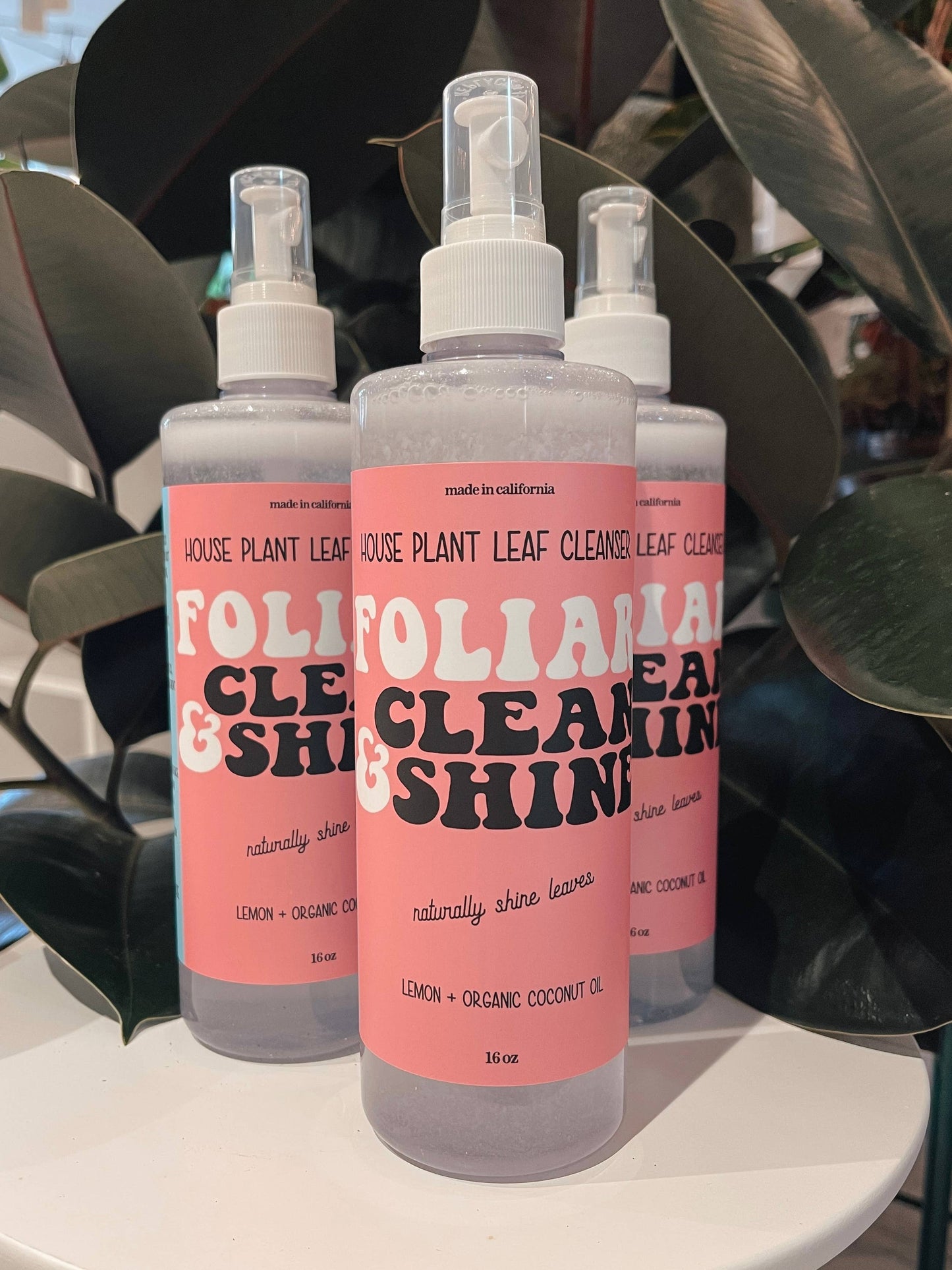Foliar Clean & Shine - House Plant Leaf Cleanser