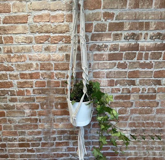 Macramé Plant Hanger