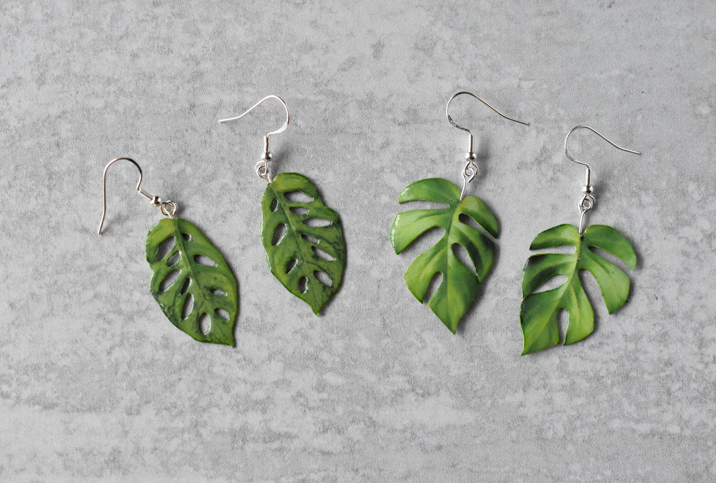 Rhaphidophora Tetrasperma “Mini Monstera” Plant Earrings