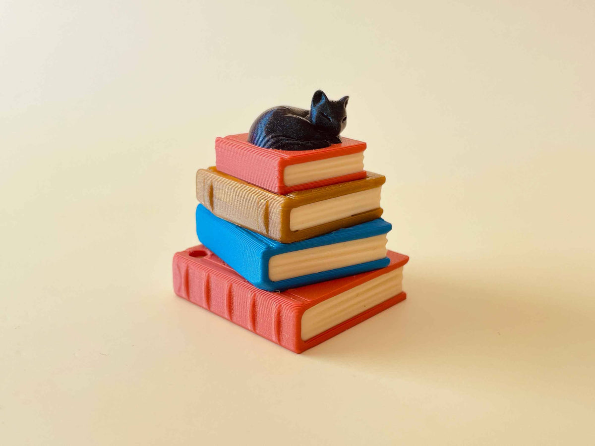 Books with Sleepy Cat