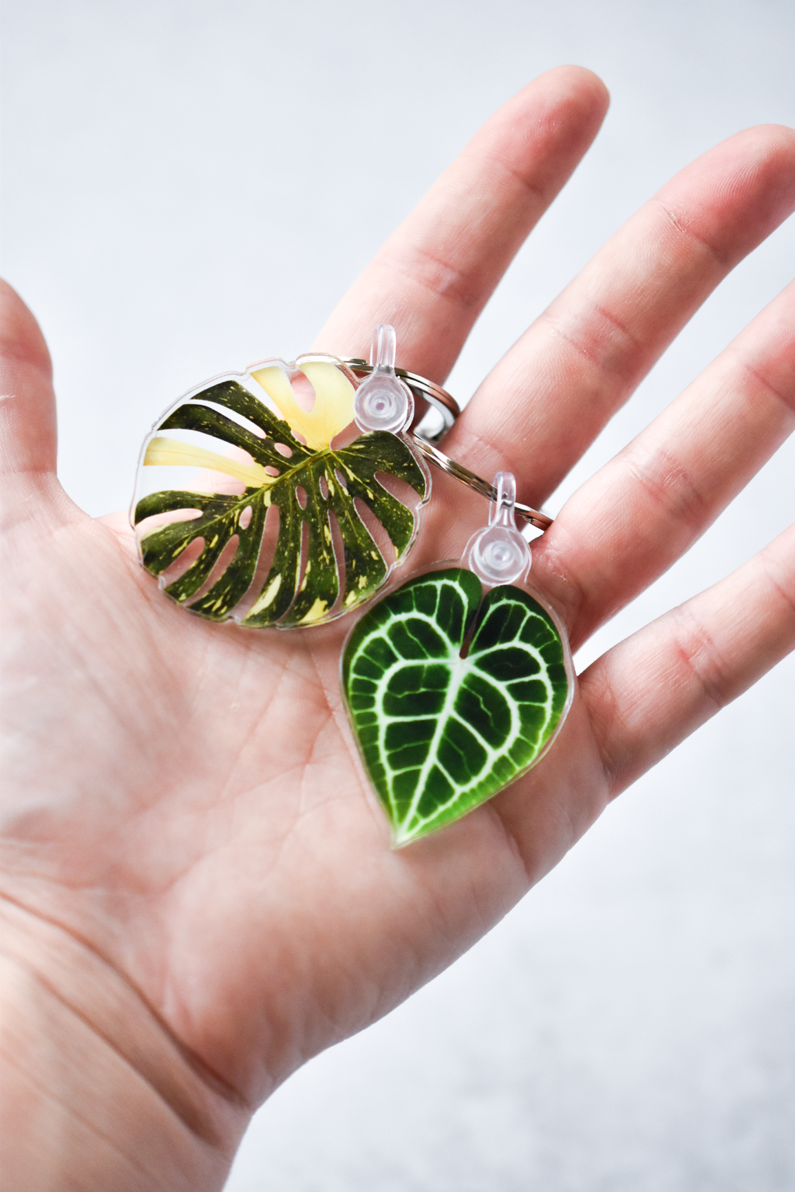 Acrylic Leaf Keychains: Half Moon Albo