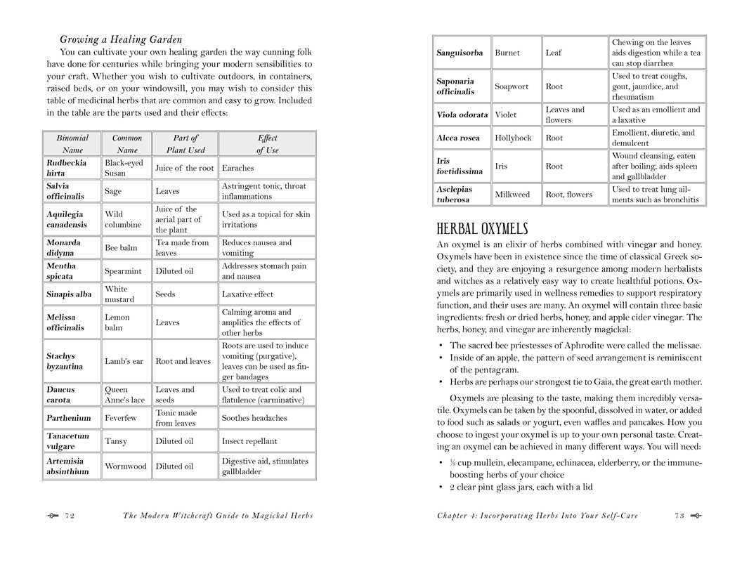 Modern Witchcraft Guide to Magickal Herbs