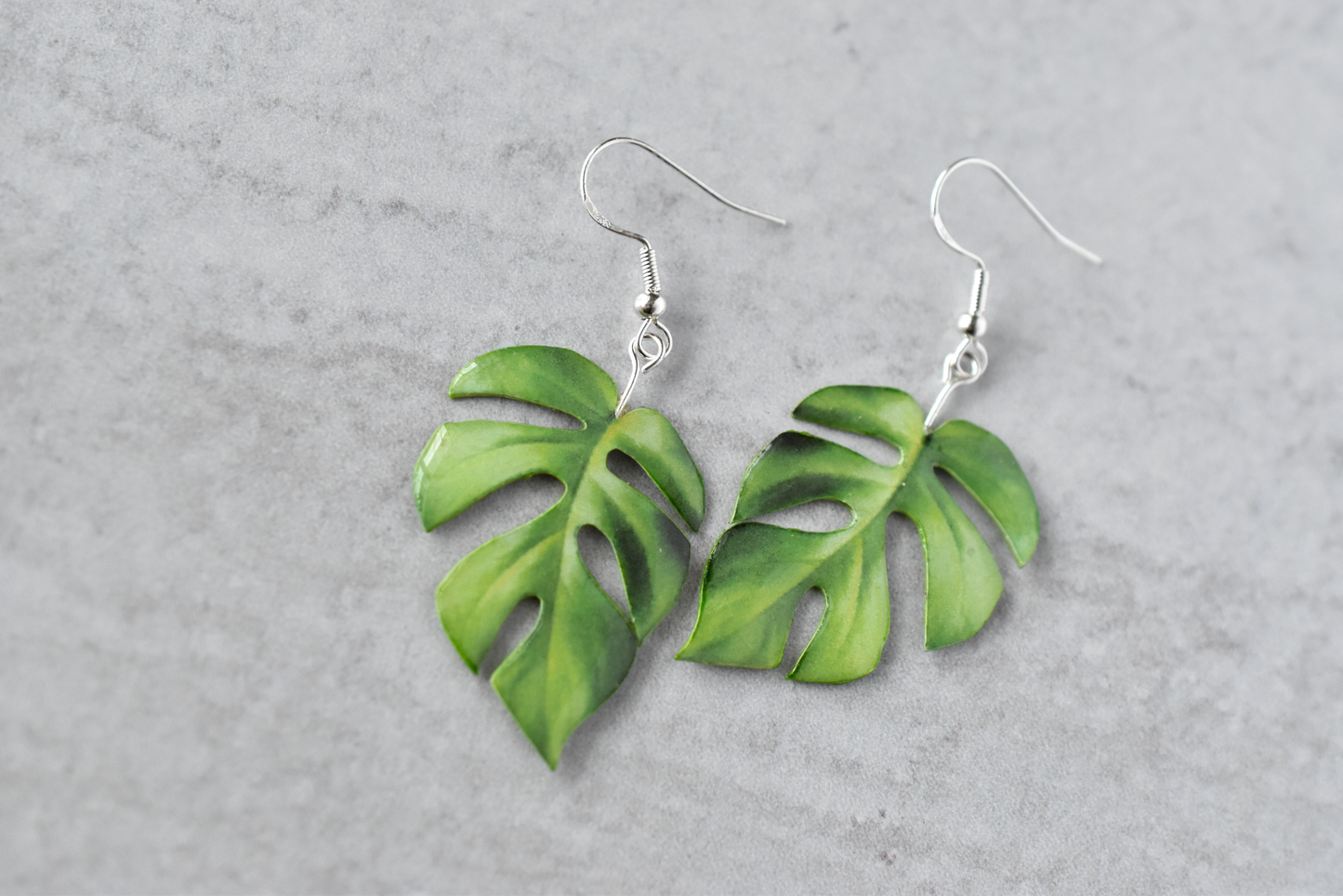 Rhaphidophora Tetrasperma “Mini Monstera” Plant Earrings