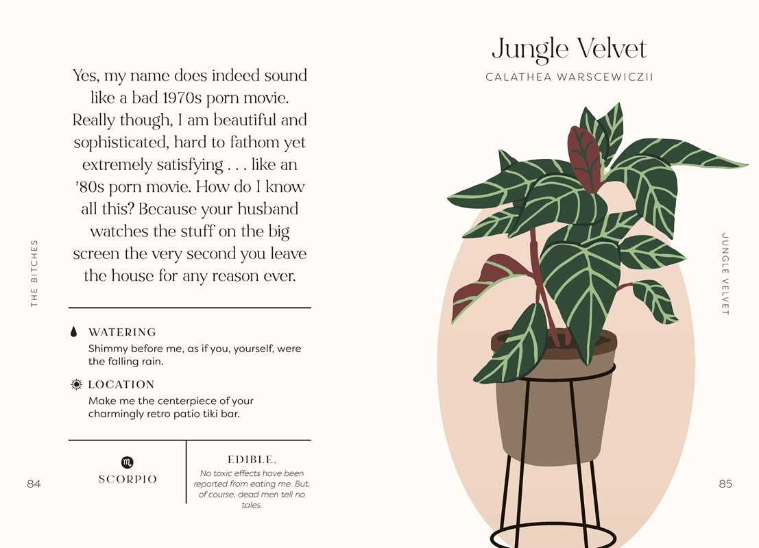 Houseplants and Their Fucked-Up Thoughts