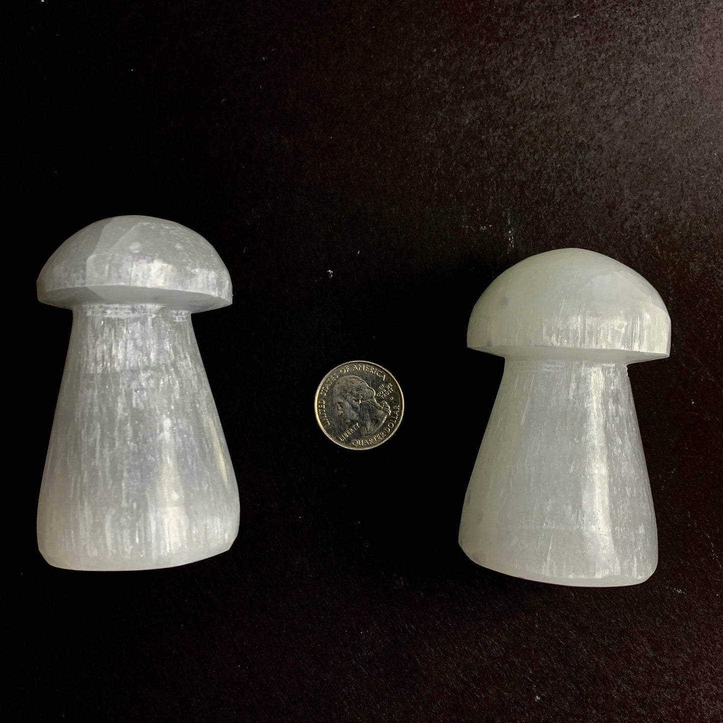 Selenite Mushroom