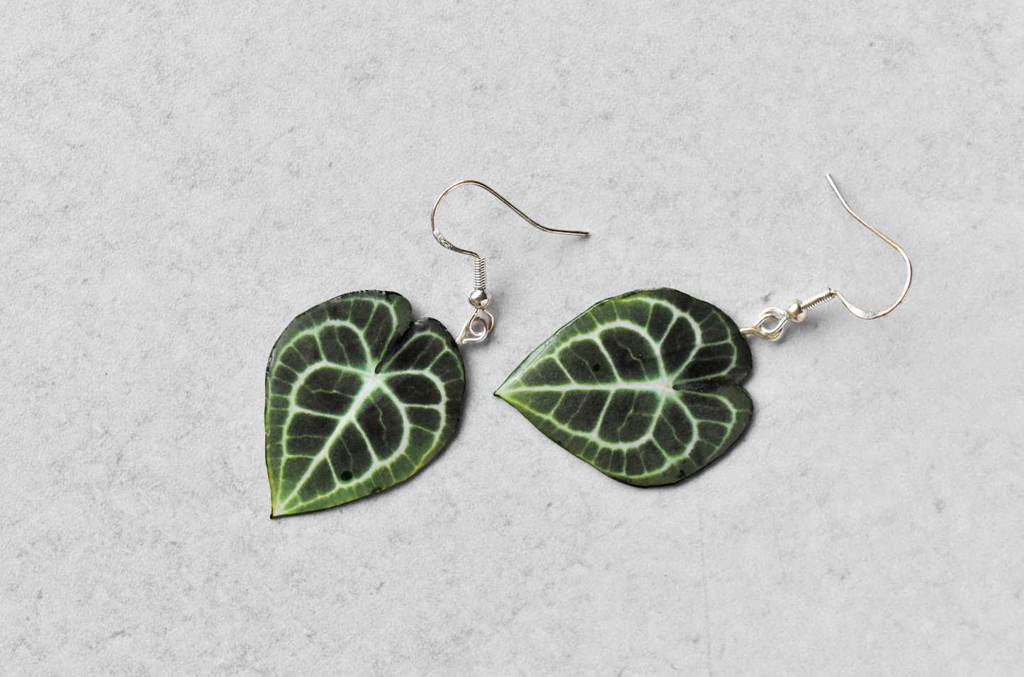 Clarinervum Anthurium Plant Earrings