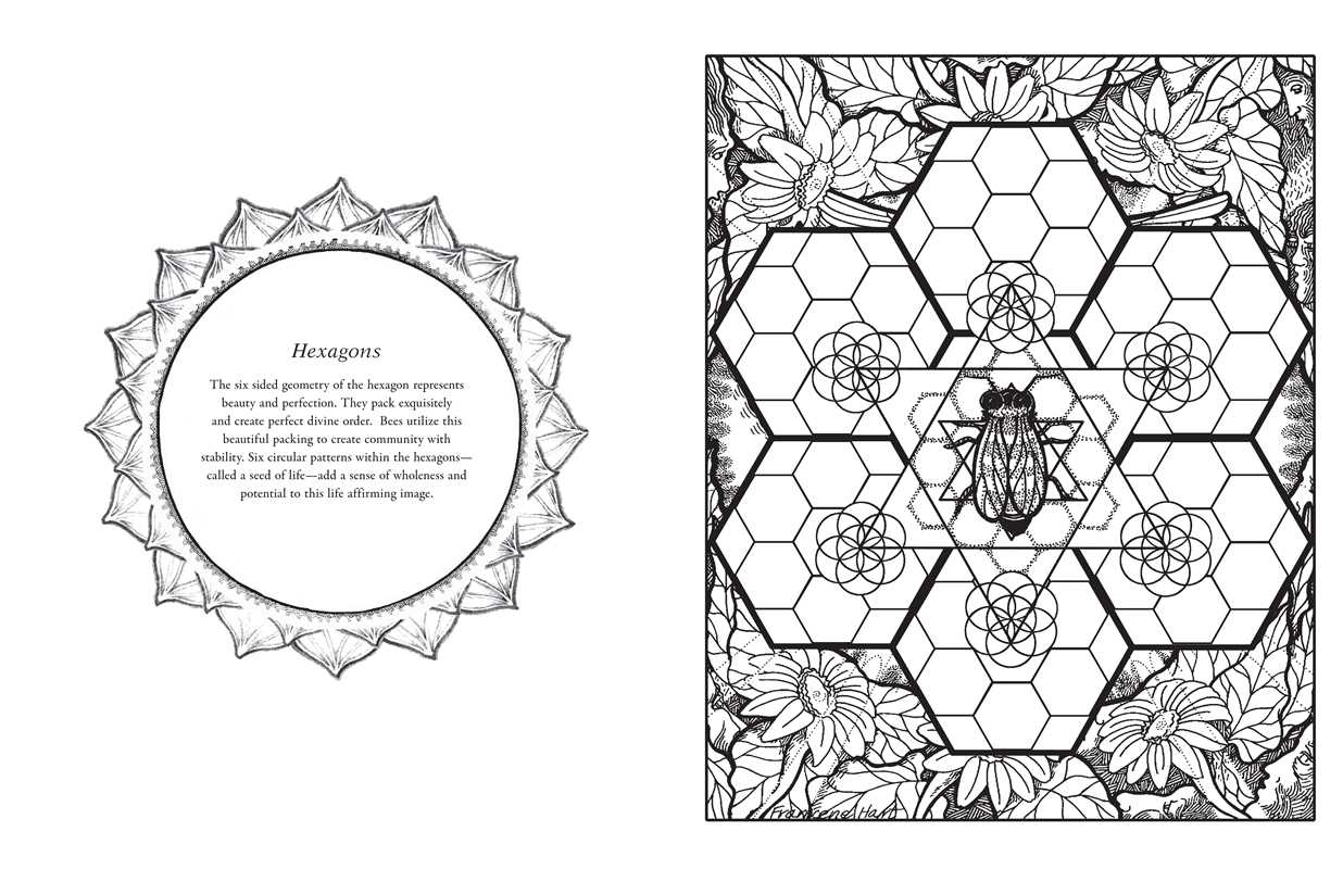 Sacred Geometry Coloring Book by Francene Hart: Paperback