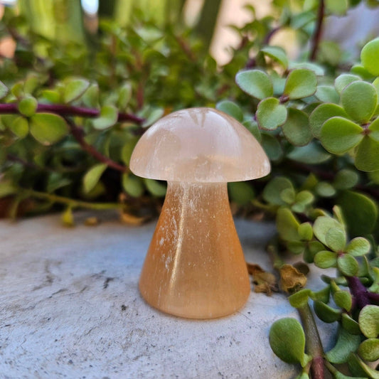 Peach Selenite Mushroom
