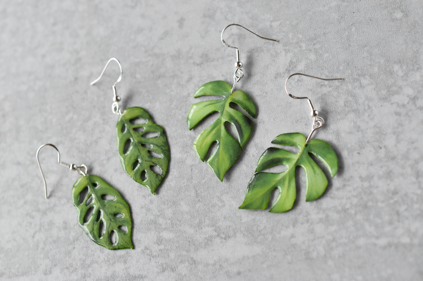 Rhaphidophora Tetrasperma “Mini Monstera” Plant Earrings