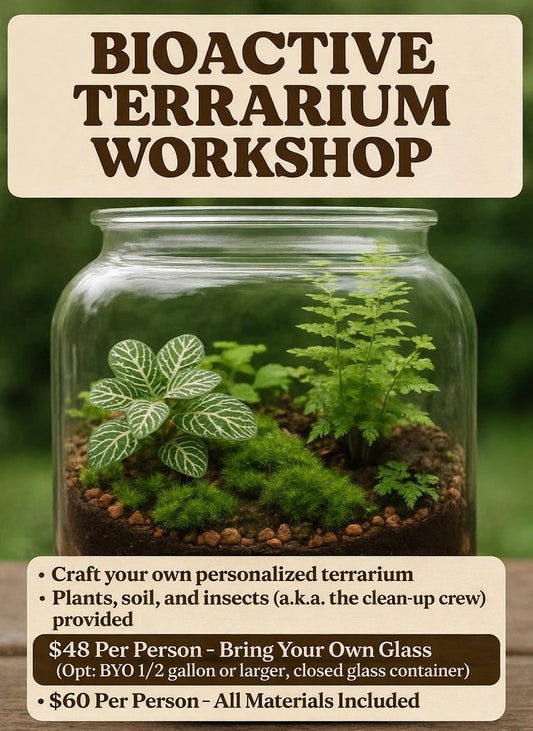 Bioactive Terrarium Workshop With Detritus & Decay