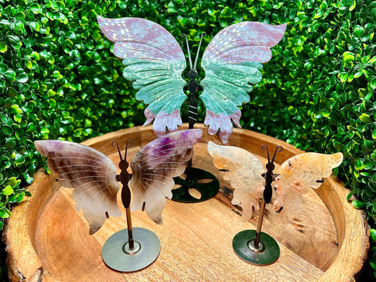 Butterfly Wings With Stand