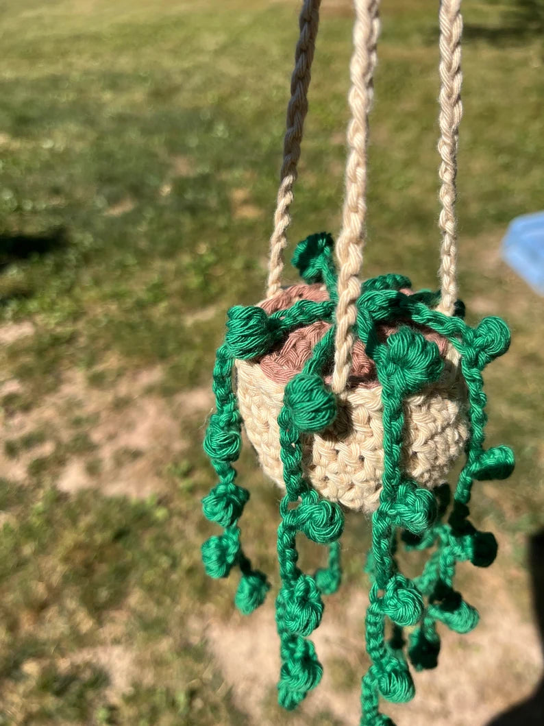 Hanging Crocheted Plant