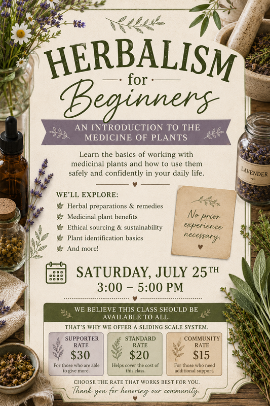 Herbalism For Beginners with Dawn Selene Herbal