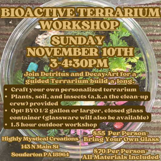 Bioactive Terrarium Workshop With Detritus & Decay