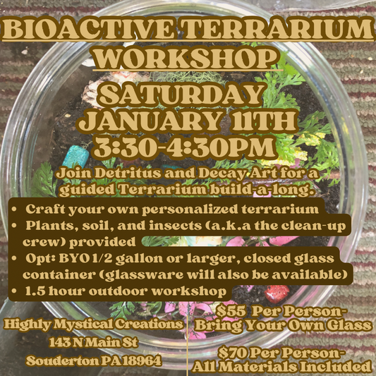 Bioactive Terrarium Workshop With Detritus & Decay