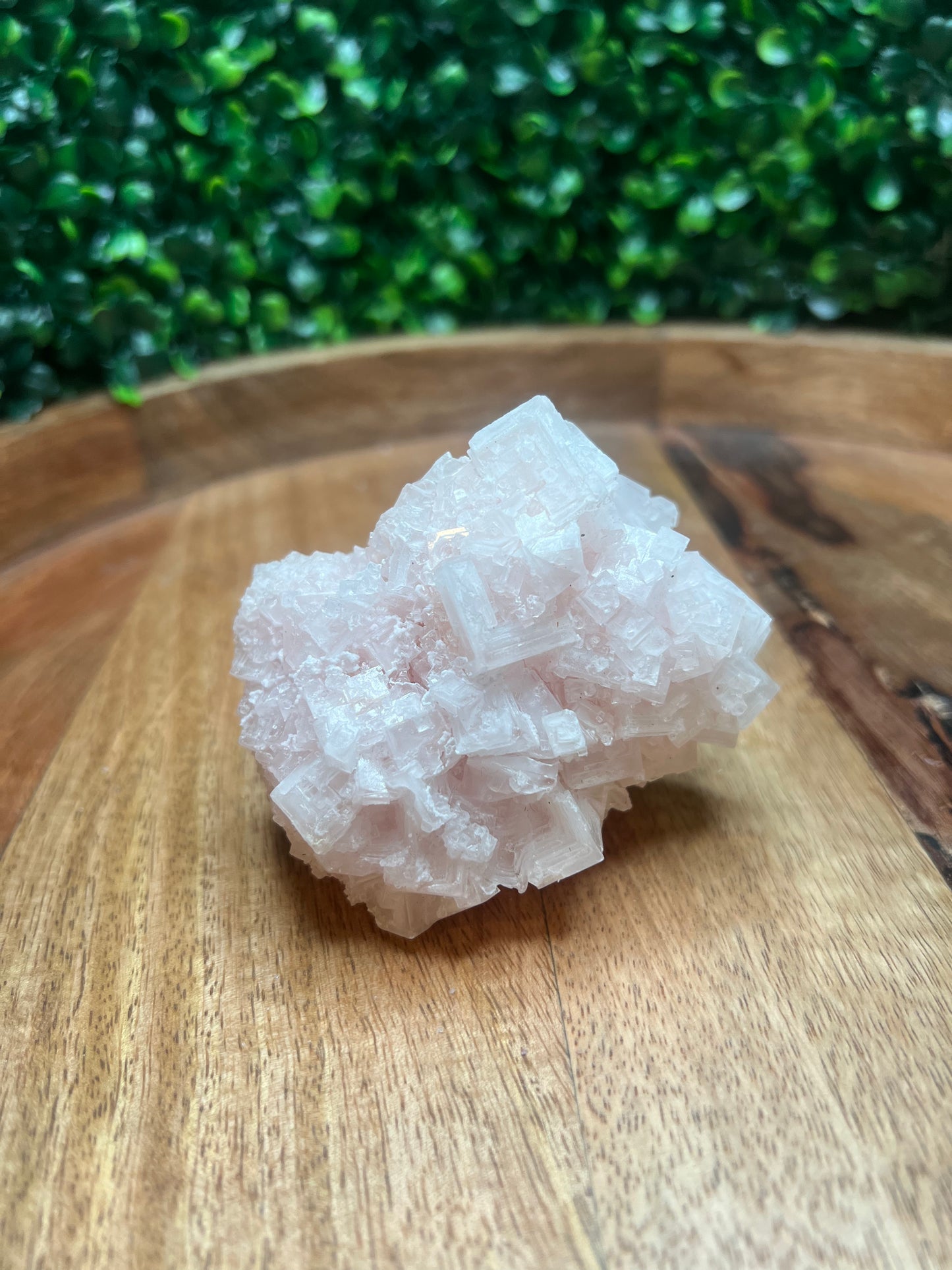 Pink Halite Specimen