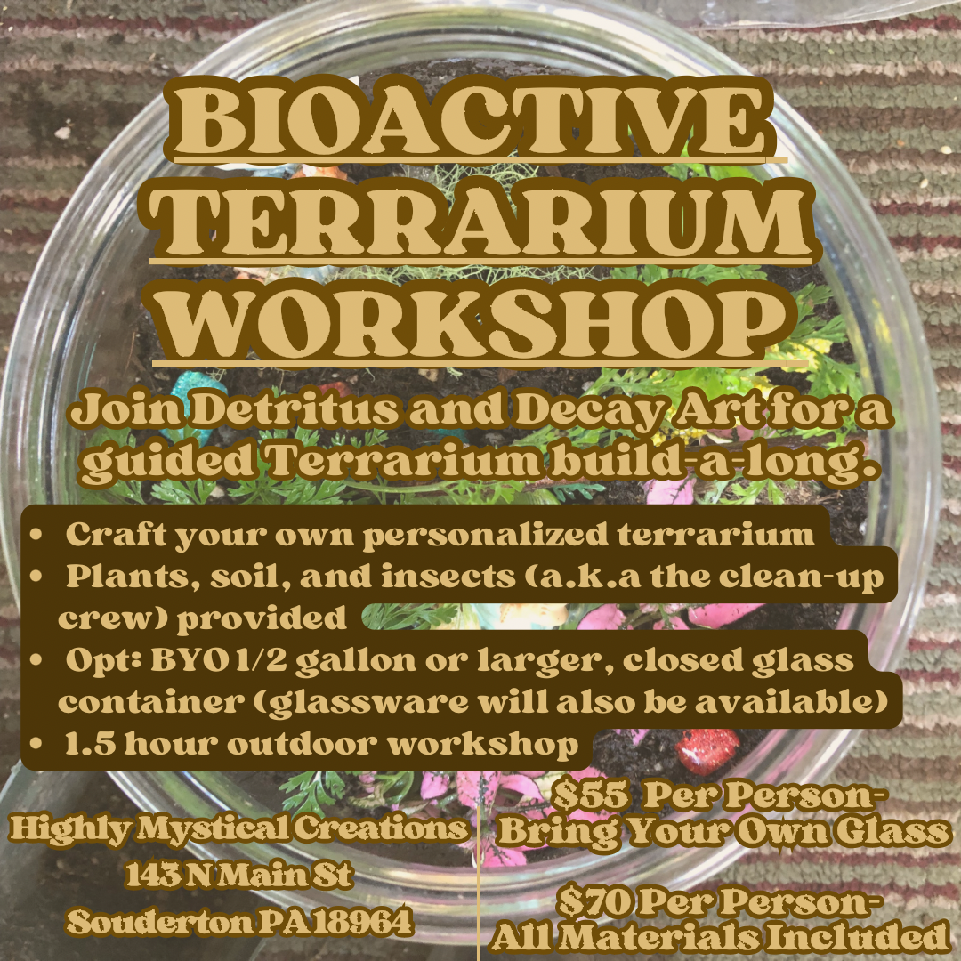 Bioactive Terrarium Workshop With Detritus & Decay