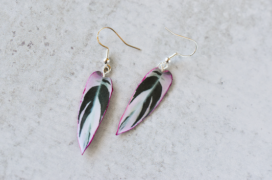Stromanthe Triostar Plant Earrings