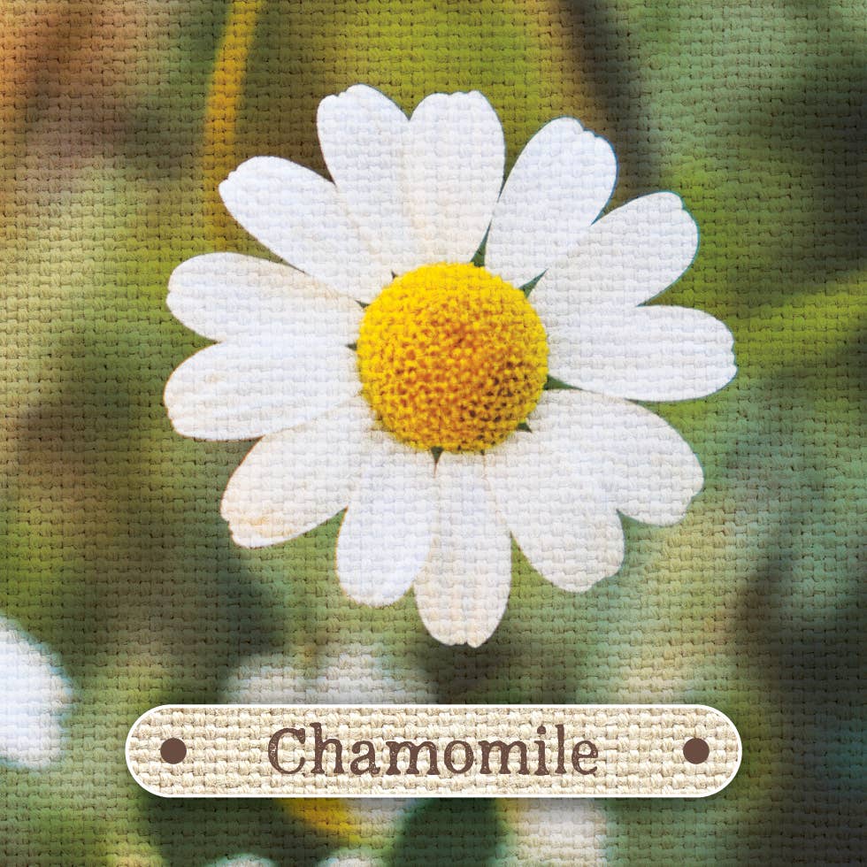 Apothecary Flashcards: A Pocket Reference for Herbs