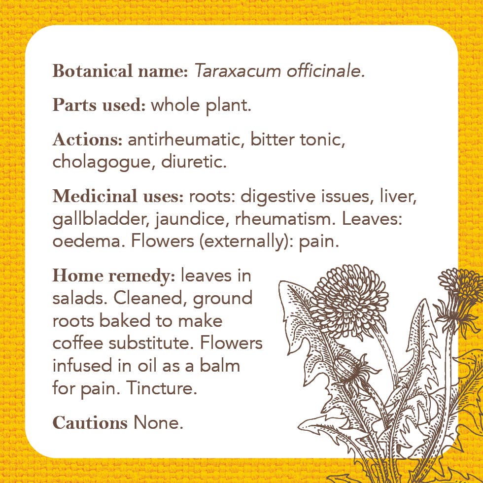 Apothecary Flashcards: A Pocket Reference for Herbs