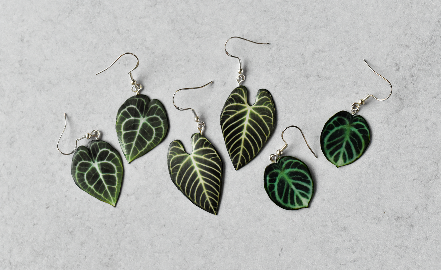 Clarinervum Anthurium Plant Earrings