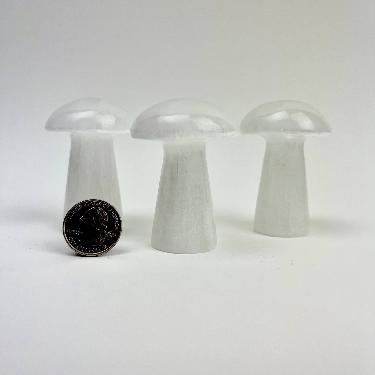 Selenite Mushroom