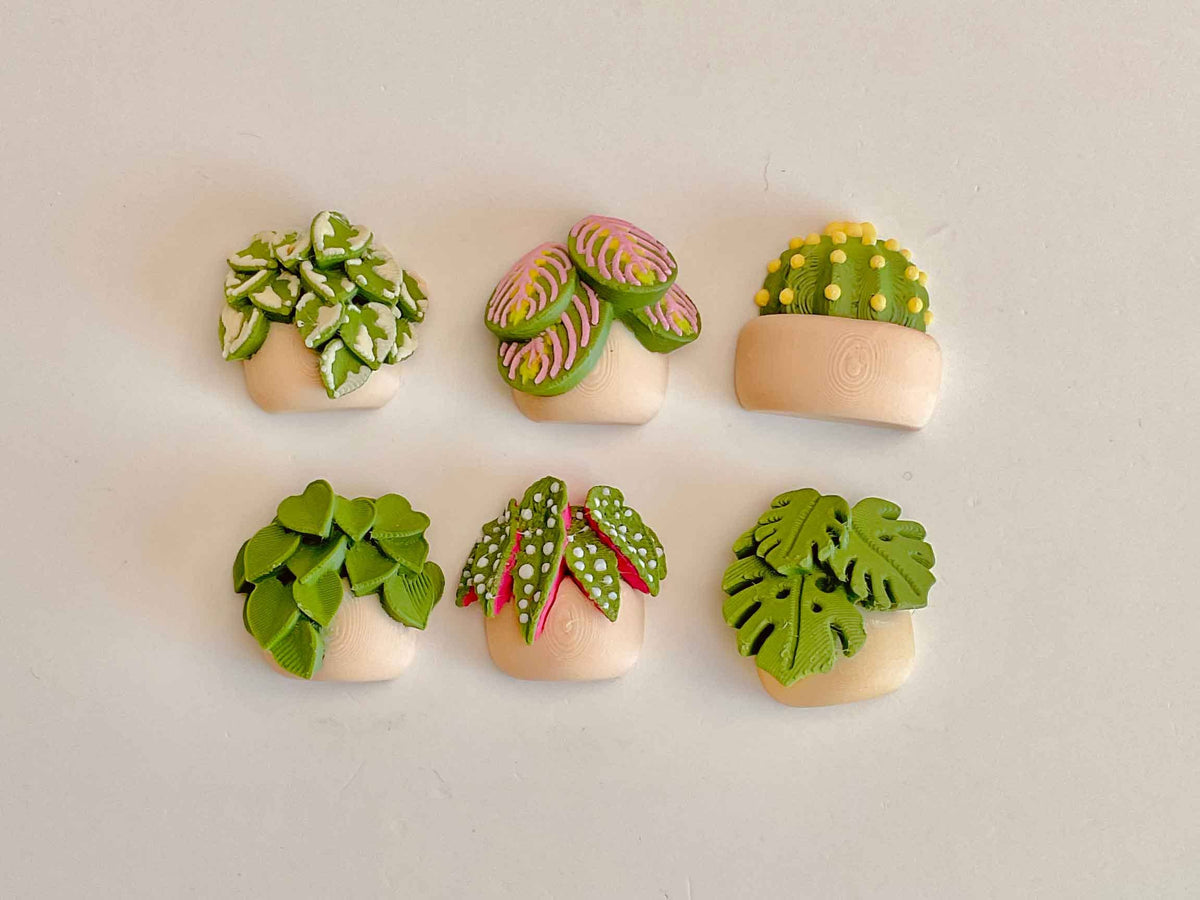 3x2 Greenhouse Plant Shelf Clicker Keychain