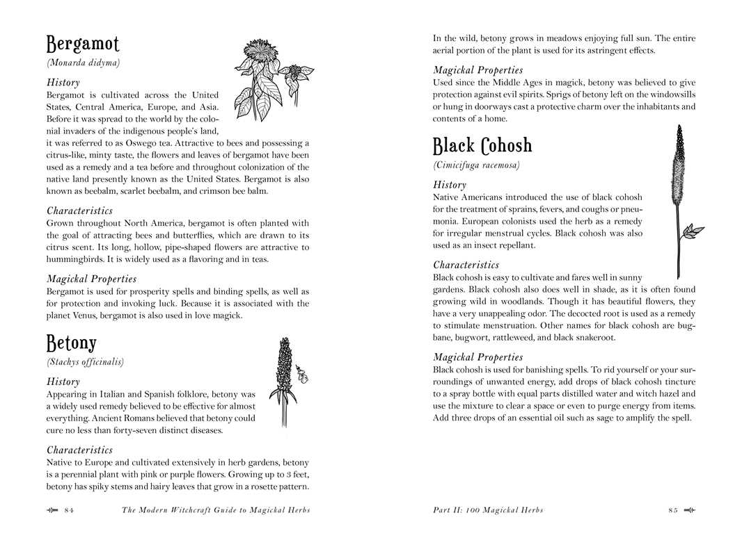 Modern Witchcraft Guide to Magickal Herbs