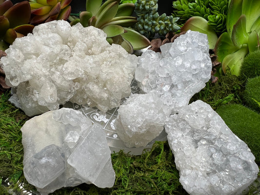 Apophyllite Cluster